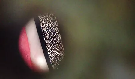 Increíble Nikki Benz hace de la lengua y en sexo gratis con chichonas el cuello