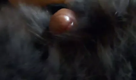 Morena caliente mujeres chichonas desnudas Mónica con su novia protagonizaron lesbianas sexo en la cocina