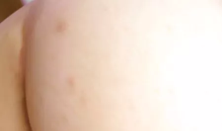 Mujer voluptuosa ansiosamente chupa un rosa polla jovensitaschichonas delante de la cámara amateur