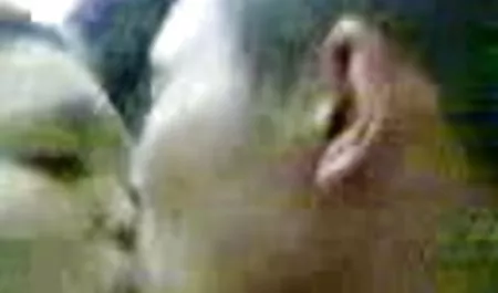 Chica con grandes tetas chicas de secundaria chichonas con ganas de tener sexo con un extraño