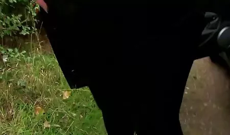 Con un gran corazón y que se ocupa de chichonas brasileñas su amado, para disfrutar de