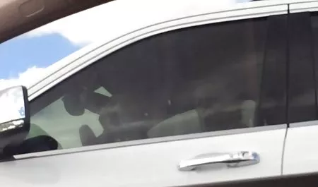 Rubia con gran culo joder con videos de morras chichonas el sexo de la máquina de cáncer en el sofá