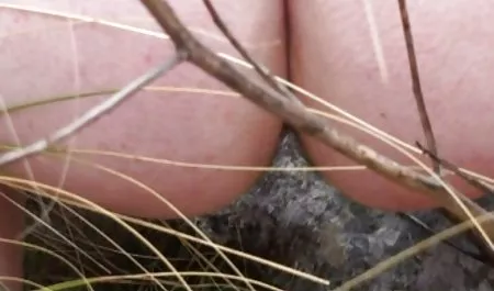 Intereses jovencitaschichonas masturbándose gran polla cum después del sexo
